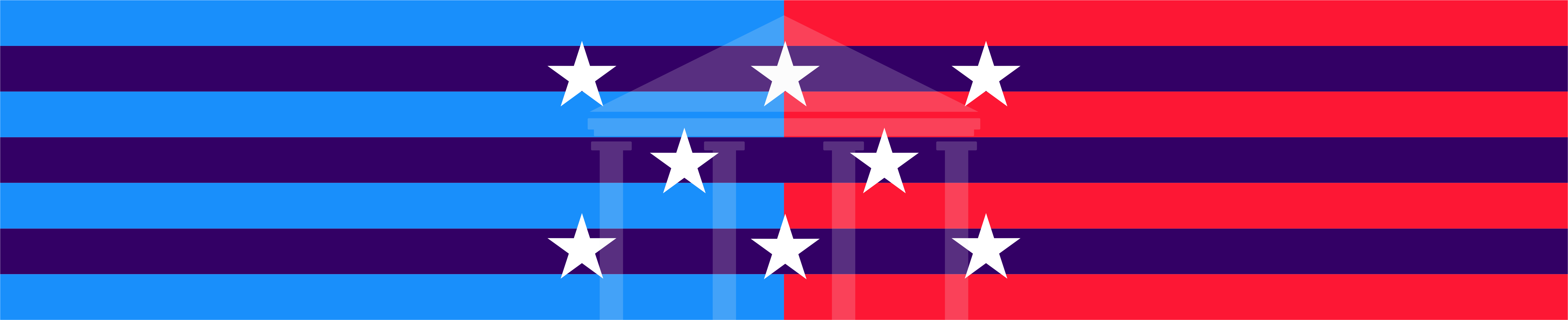 2024 US Elections- electorial flag